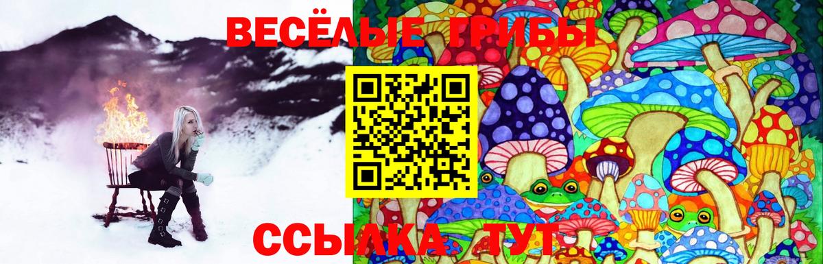 Невинномысск  Галлюциногенные грибы Psilocybe  Вход с VPN  Псилоцибиновые грибы мухоморы 